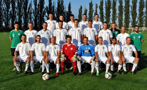 1. Herrenmannschaft 14/15
