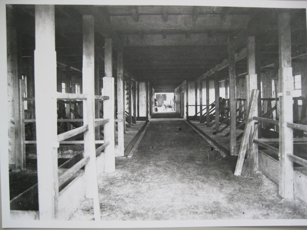 十勝開墾株式会社熊牛農場建物内部と思われる写真