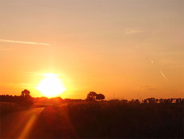 Sommerabend mit buntem Himmel und Baum-Silhouetten auf der Schwäbischen Alb.
