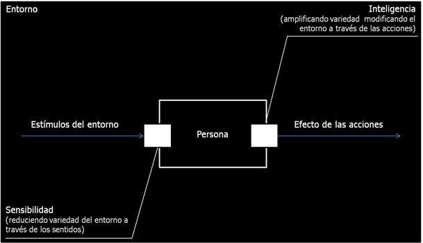 Modelando el concepto de Belleza