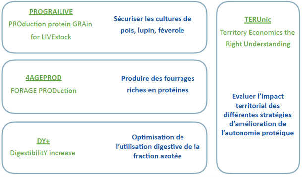 Les 4 projets du programme SOS PROTEIN