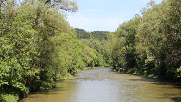 Traun River near Siegsdorf Rudi huger flyfishing for Trout grayling
