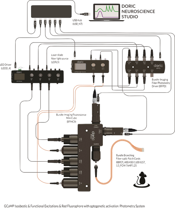 Multi-site Bundle Imaging Fiber Photometry System - GCaMP Isosbestic and Functional Excitations, RFP, Blue/Red Optogenetics - 405nm/465 nm/560nm, Blue/Red Lasers