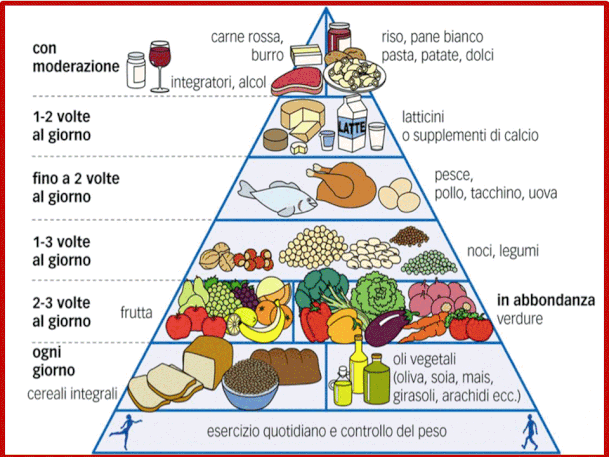 La dieta mediterranea è uno stile alimentare che privilegia il consumo di frutta, verdu-ra, patate, legumi, pane e pesce.