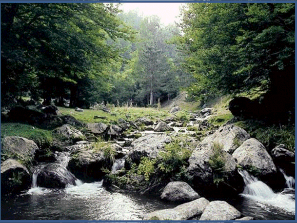 Fiume Tacina,Parco Nazionale della Sila;la vetta più elevata è il Monte Volpintesta 1.730 m nella Sila Grande e  il Monte Gariglione 1.765 m  nella Sila Piccola.