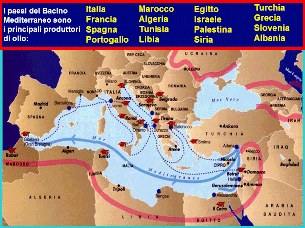 Paesi del Bacino del Mediterraneo produttori di olio.