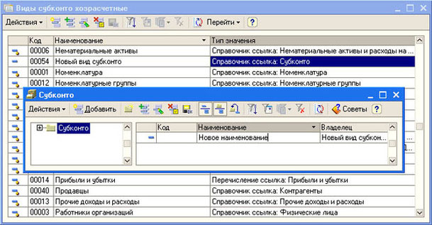Рис. 4.27. Создание нового вида субконто