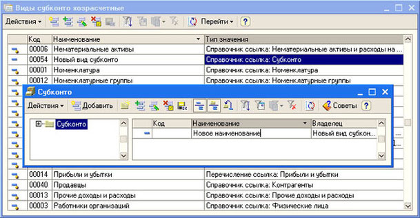 Рис. 4.27.  Создание нового вида субконто