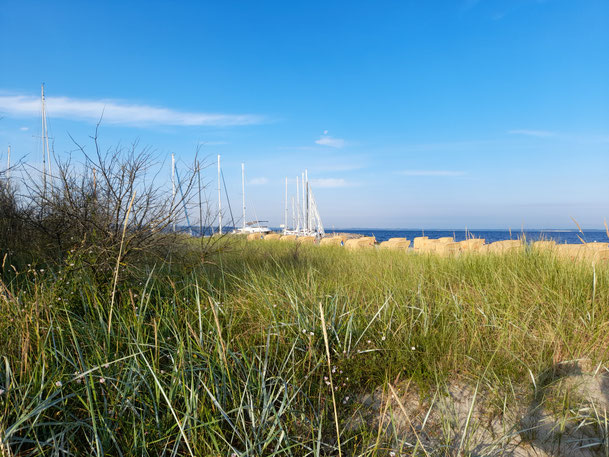 Camping und Caravaning in Deutschland. Was ist zu beachten? Welche Campingplätze liegen direkt am Wasser?