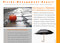Risiko-Consulting: Risiko-Management Flyer - PDF