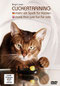 Clickertraining für Katzen