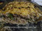 Pastel de carne y verduras