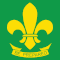Scouts