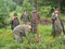Am Bock (Ruf - Guntern - Bellwald - Müller - Schnidrig)