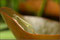 2006-06-23 Babywiege