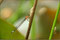 2006-06-22 "nur alte Kleider"