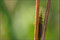 2006-09-20 - versteckt