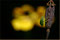 2005-07-16