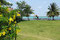 Bacalar - unser Ausblick auf den See