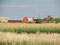 Farmland in Nebraska