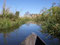 Mokoro Tour am Okavango