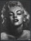 Marilyn  123 x 96 cm  