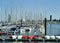 Seglerhafen Grimmershörn NC