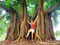 Subtropisch - Baum in einen Park in Porto Alegre