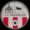 C.F. Pizarrales - Salamanca.