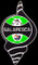 C.D. Salapesca - Algeciras.