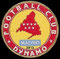 Football Club Dynamo - Madrid.