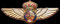Policía Nacional - Piloto de Helicópteros.