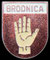 Brodnica.