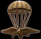 Distintivo Curso Paracaidista.