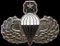 US Army Master Parachute.