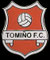 Tomiño F.C. - Tomiño.