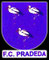 Pradeda C.F. - Guntín.