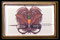 Papúa Nueva Guinea (escudo nacional).