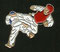 TAEKWONDO