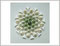 HANNELORE KOLLATH - "flower I" - Papierfaltarbeit - 50x50 - ausgestellt in der Kreisbibliothek