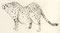 03.05.2008  *Fat-Series: Gepard*