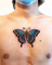 traditional tattoo  tattoostudio butterfly　タトゥー　タトゥースタジオ　東京タトゥースタジオ　東京タトゥー