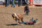Ein 3-er-Team muss versuchen ein Pony zu fangen und eines der Kinder sollte aufsteigen und reiten ... schwierig!