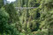 90 Meter über dem Capilano River geht es schön wackelig von Ufer zu Ufer.