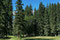 Direkt bei unserer Lodge liegt ein etwas "spezieller" aber wunderschöner 9-Loch-Golfplatz.