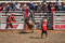 Zum Schluss des Rodeo ... die ganz dicken Brocken ... der ganz harten Cowboys (nun mit Helm und nicht mehr mit Hut!  ... Bull Riding!
