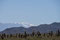 Parque Nacional los Cardones - im Hintergrund ein schneebedeckter 6000-er