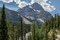 Vom Kicking Horse Pass geht es geht es von 1627 Meter recht steil runter nach Fields auf  1256 MüM.