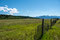 Wir lassen die Rocky Mountains hinter uns und fahren durch die Prärie nach Calgary