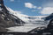 Die Tour führt zum Athabasca Gletscher.